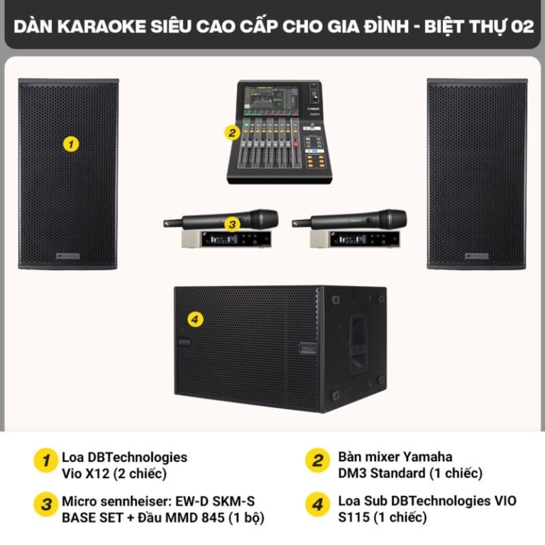 dan karaoke cao cap gia dinh biet thu 02 1 800x800