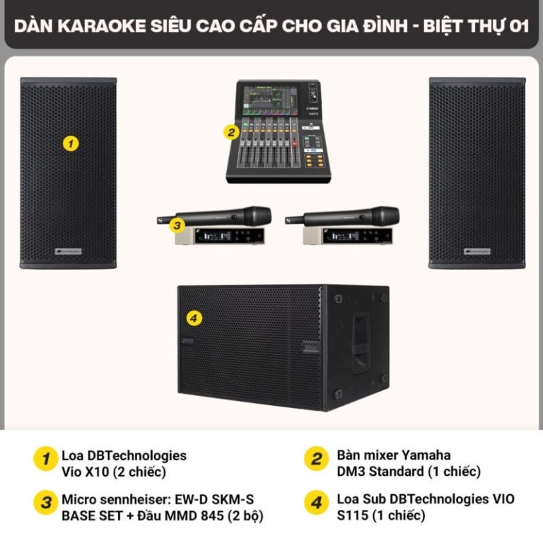 dan karaoke cao cap gia dinh biet thu 01 1 800x800