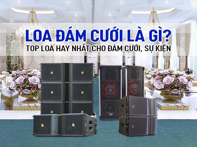 https://ckaudio.vn/sPicture/2024/05/07/22/47/37/638507188577889134/loa-dam-cuoi.jpg