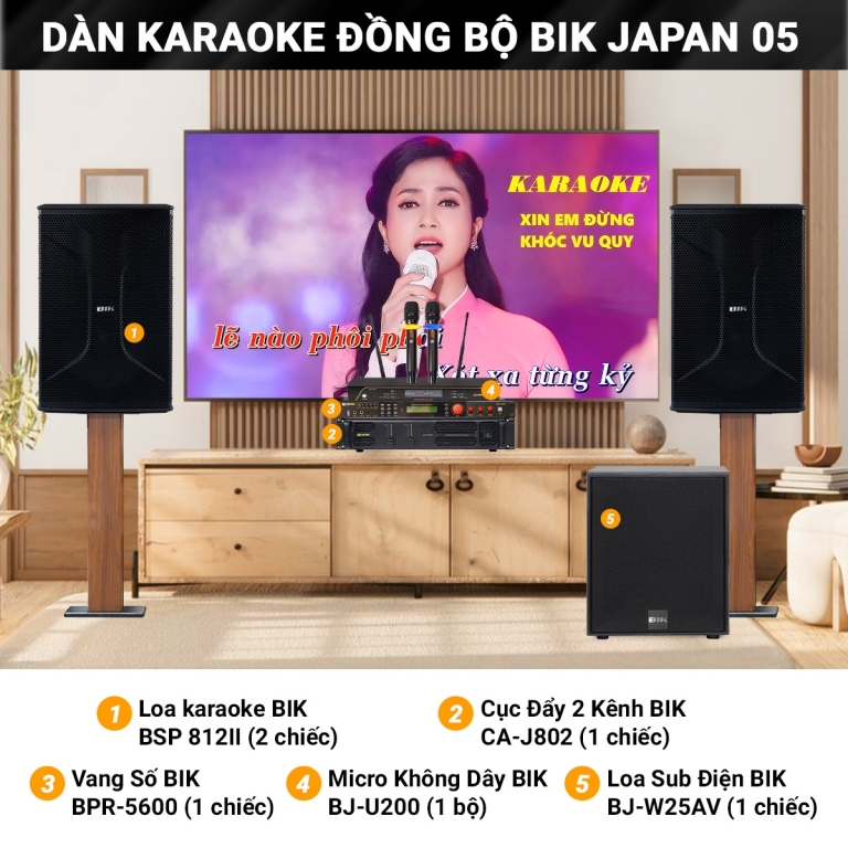 dan karaoke dong bo bik japan 05