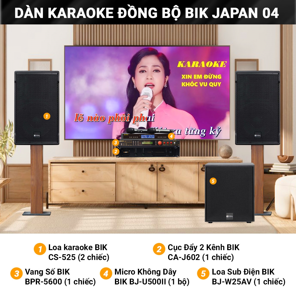 dan karaoke dong bo bik japan 04 02