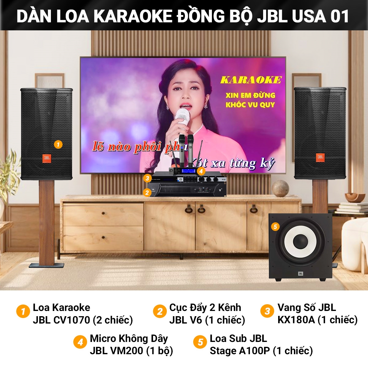 dan karaoke dong bo usa 01