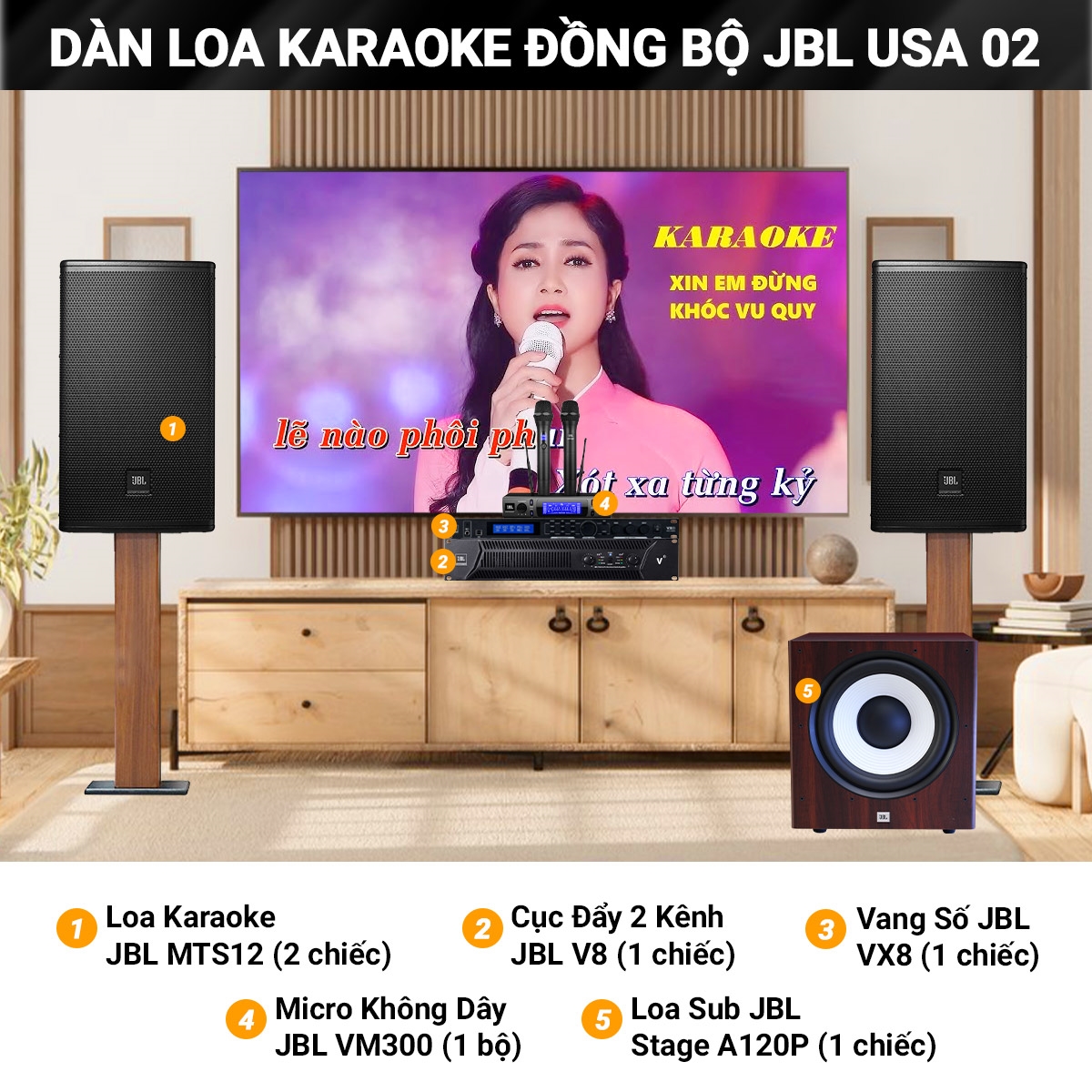 dan karaoke dong bo usa 02