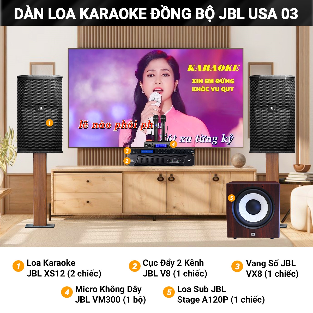 dan karaoke dong bo usa 03