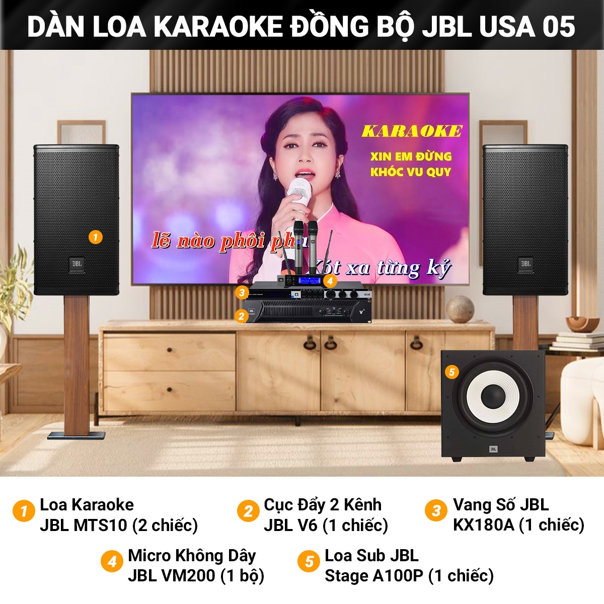 dan loa karaoke dong bo jbl usa 05 tng