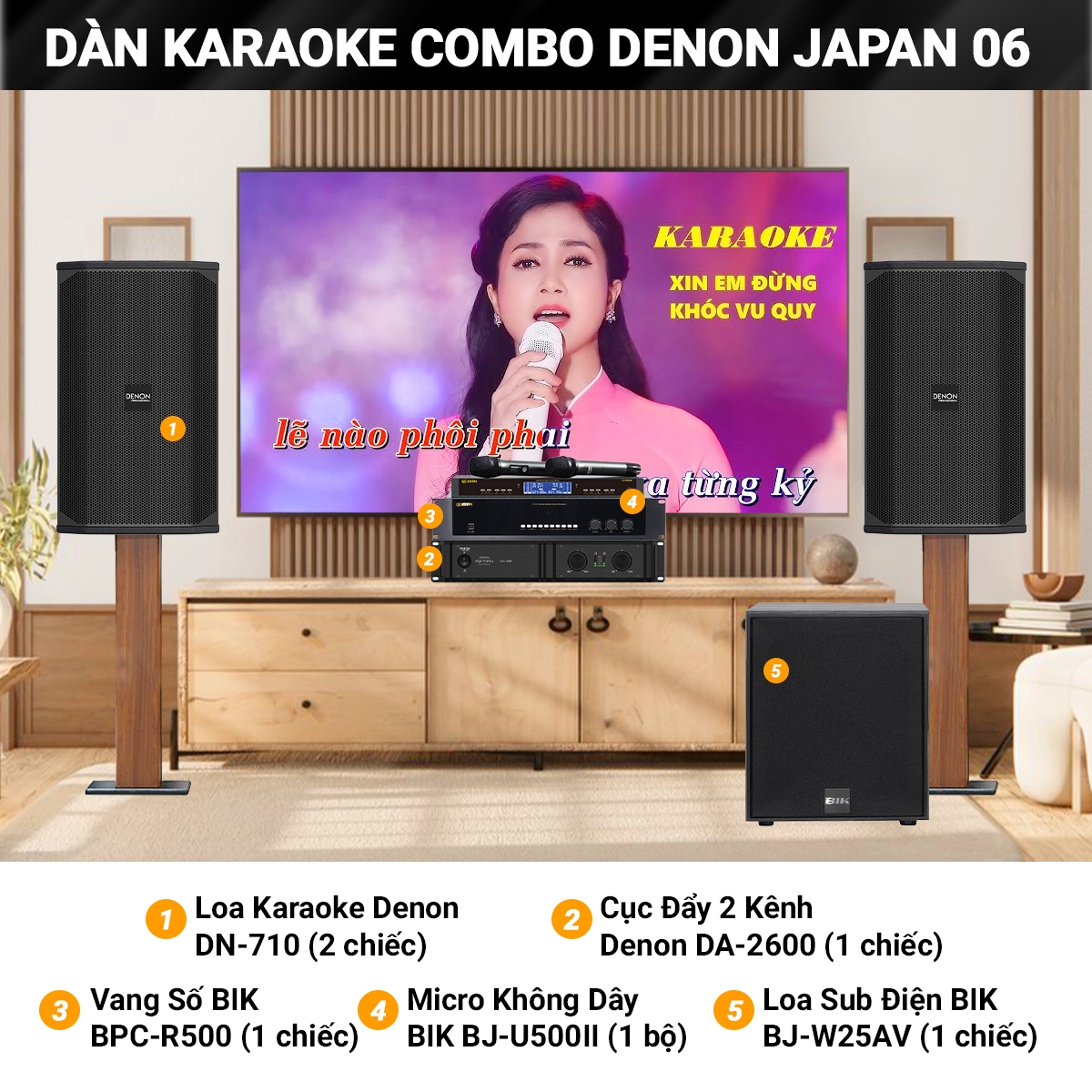 dan karaoke combo denon japan 06 tng