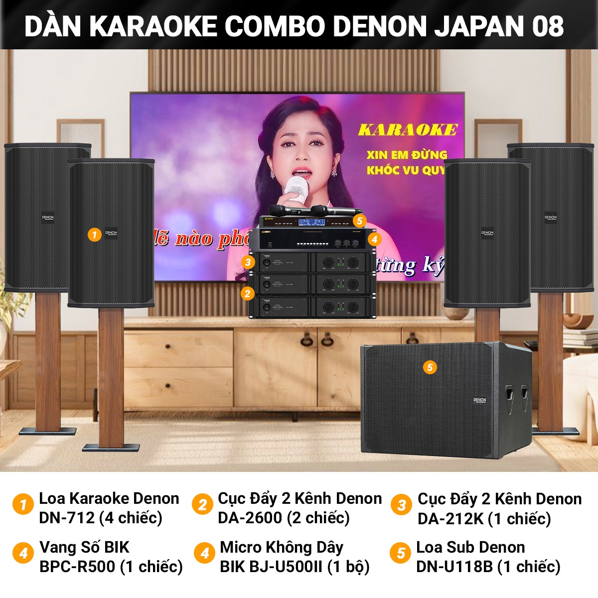 dan karaoke combo denon japan 08 tn