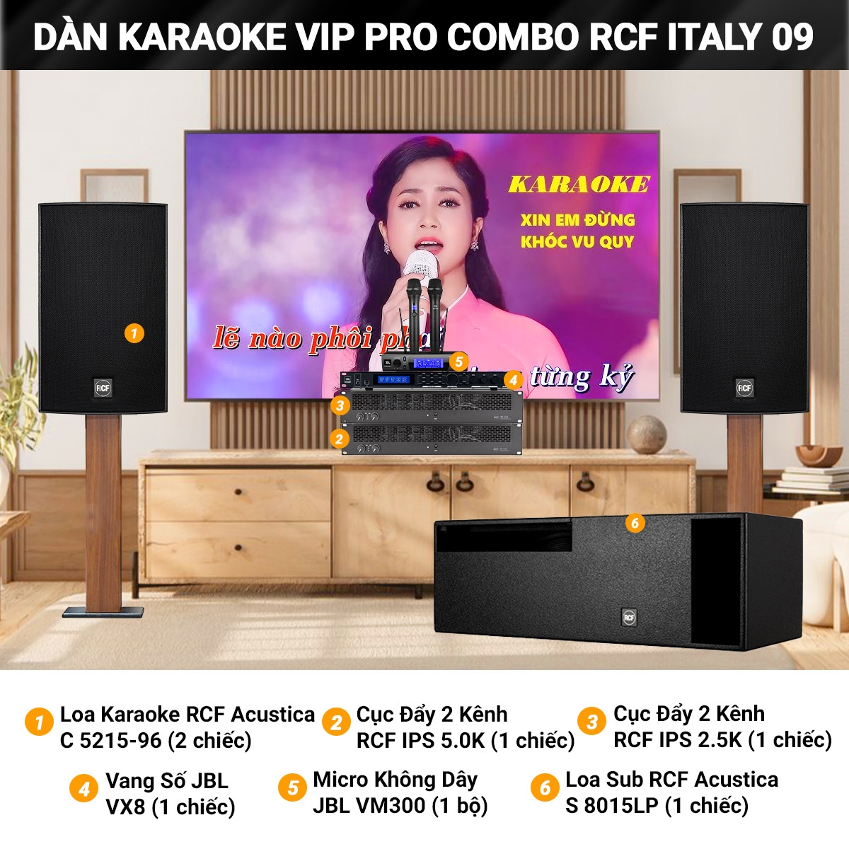 dan karaoke vip pro combo rcf italy 09