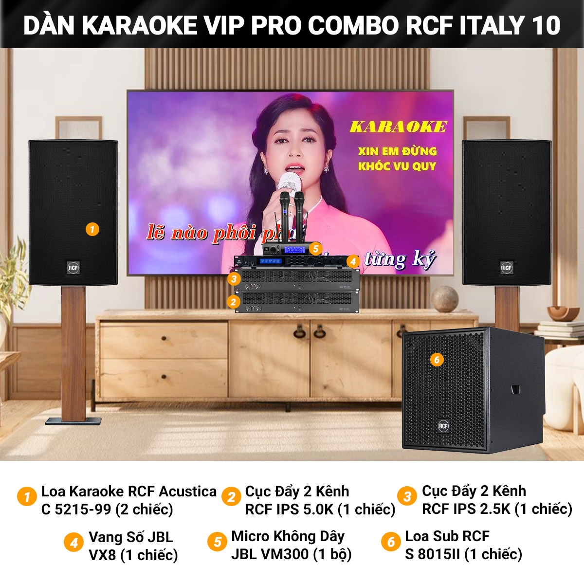 dan karaoke vip pro combo rcf italy 10