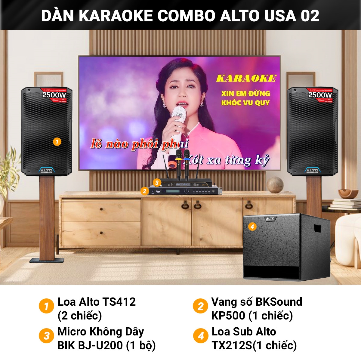 dan karaoke combo alto usa 02