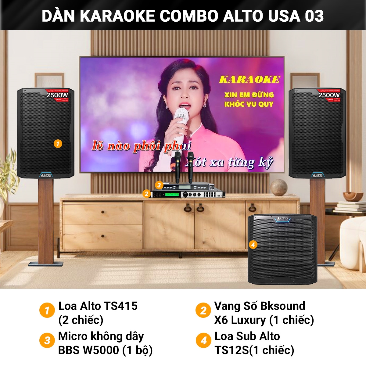 dan karaoke combo alto usa 03