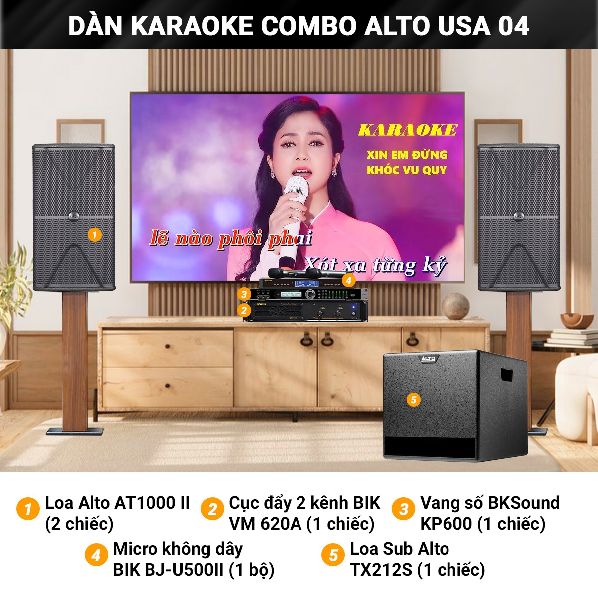 dan karaoke combo alto usa 04