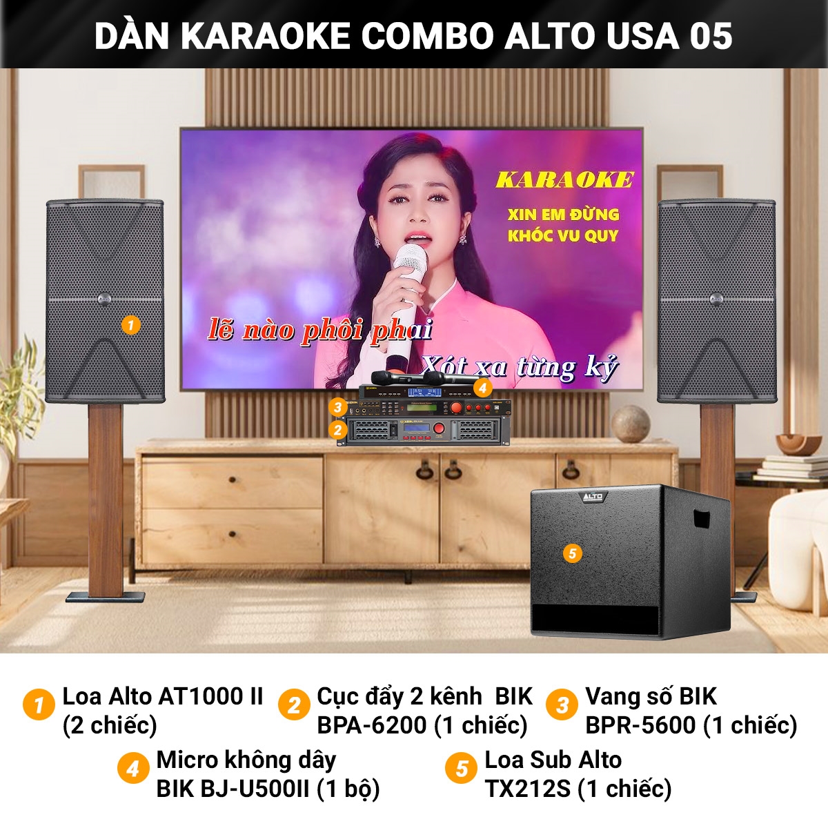 dan karaoke combo alto usa 05