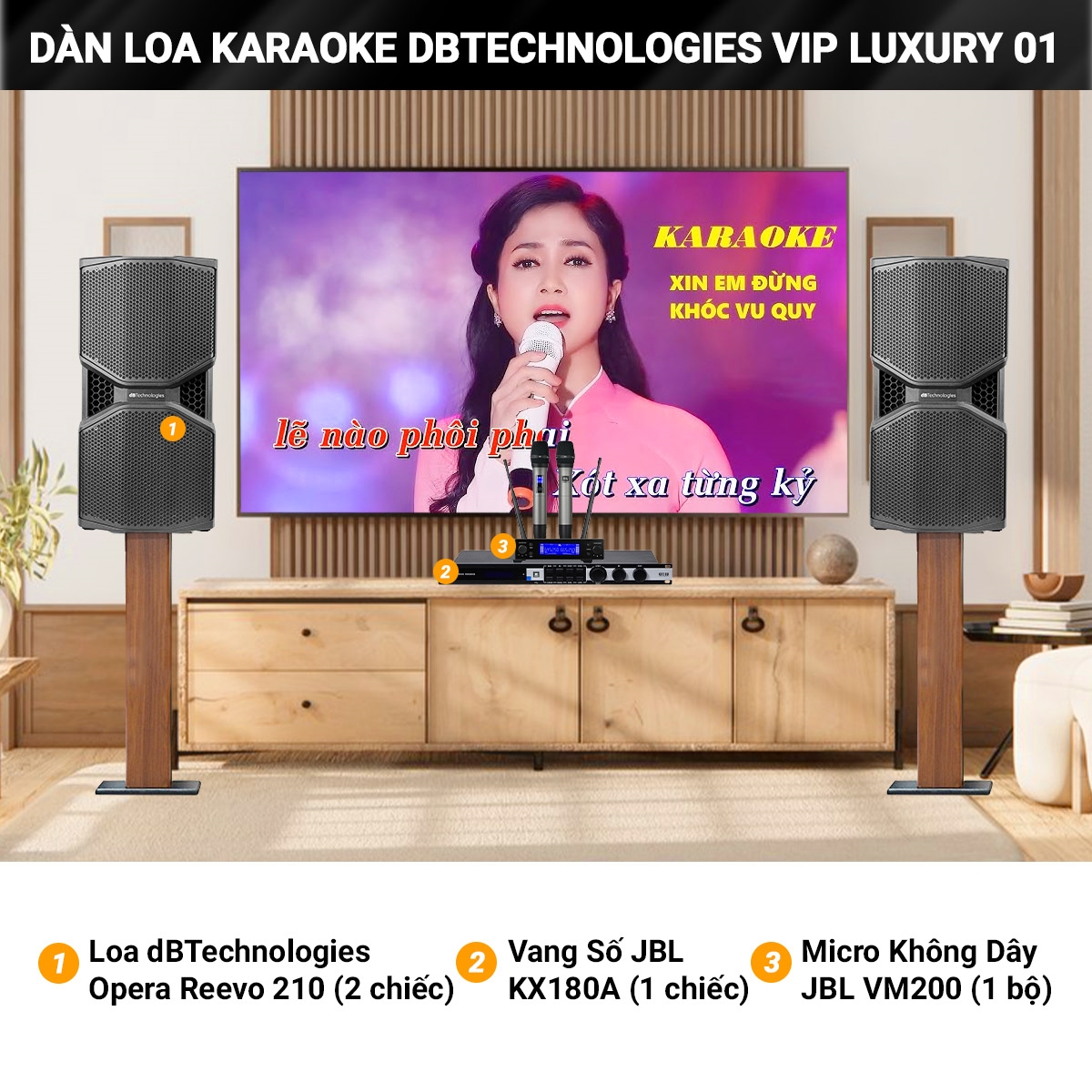 dan karaoke dBTechnologies vip luxury 01