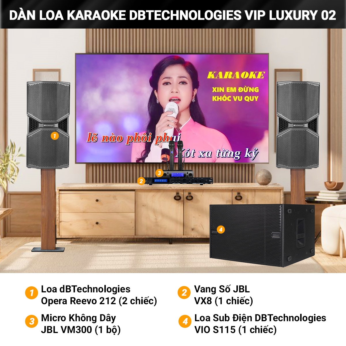 dan karaoke dBTechnologies vip luxury 02