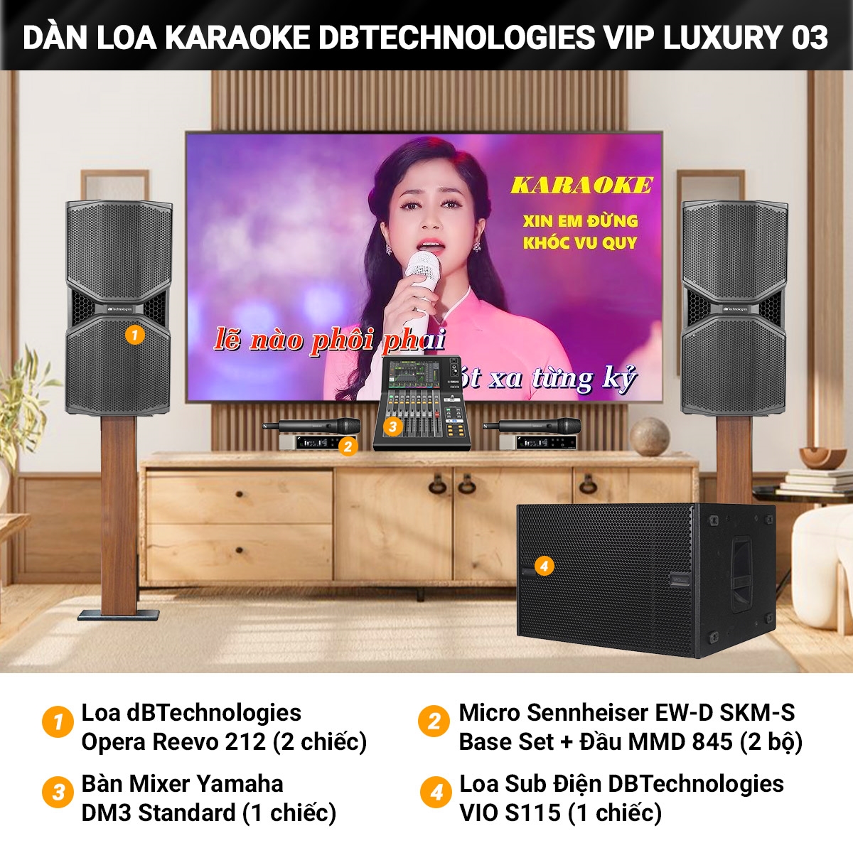 dan karaoke dBTechnologies vip luxury 03