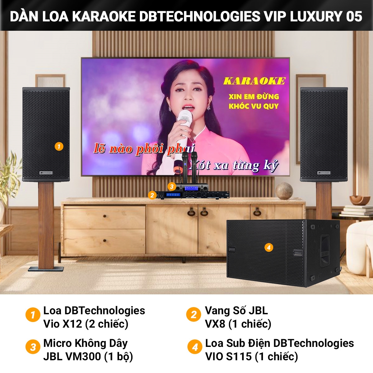 dan karaoke dBTechnologies vip luxury 05