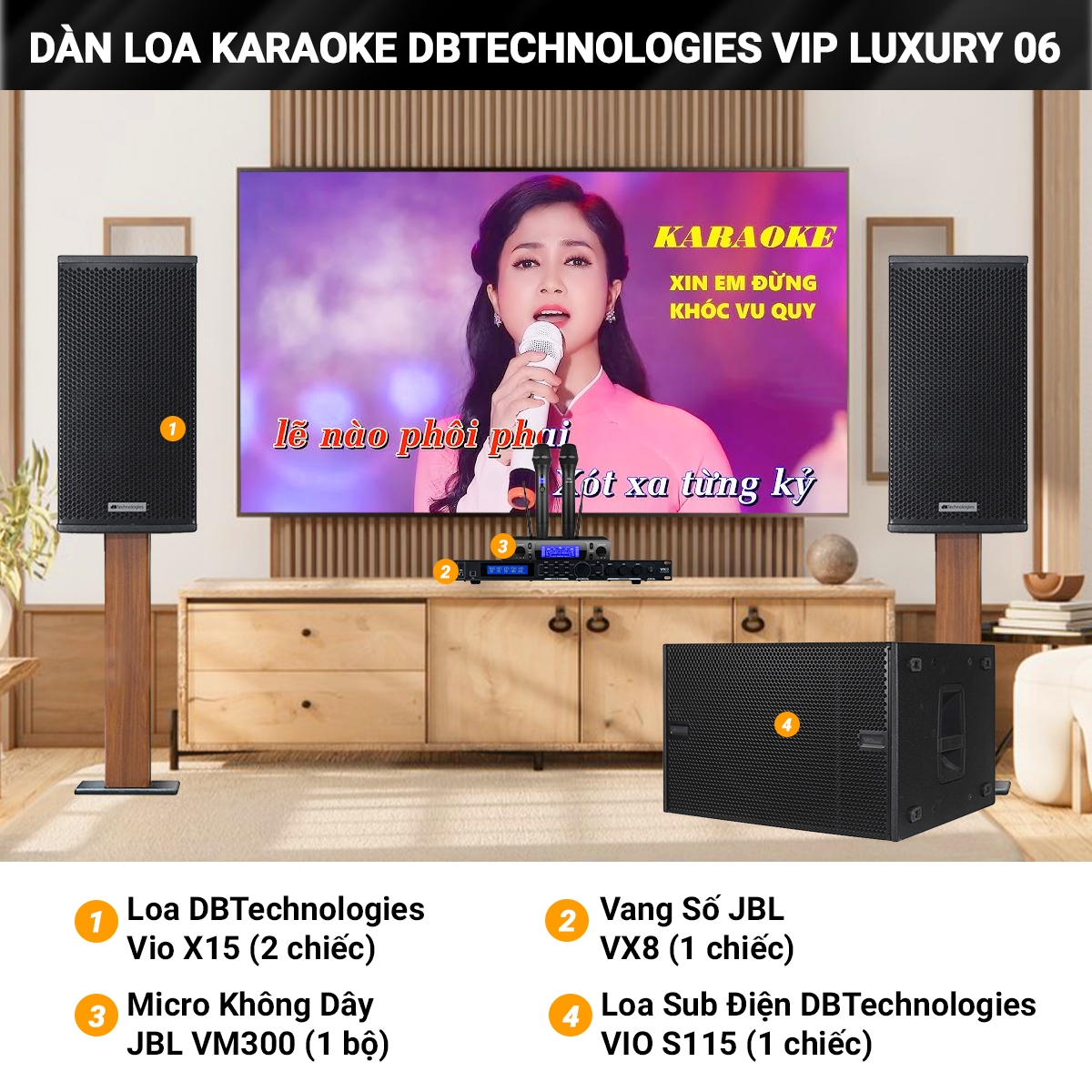 dan karaoke dBTechnologies vip luxury 06