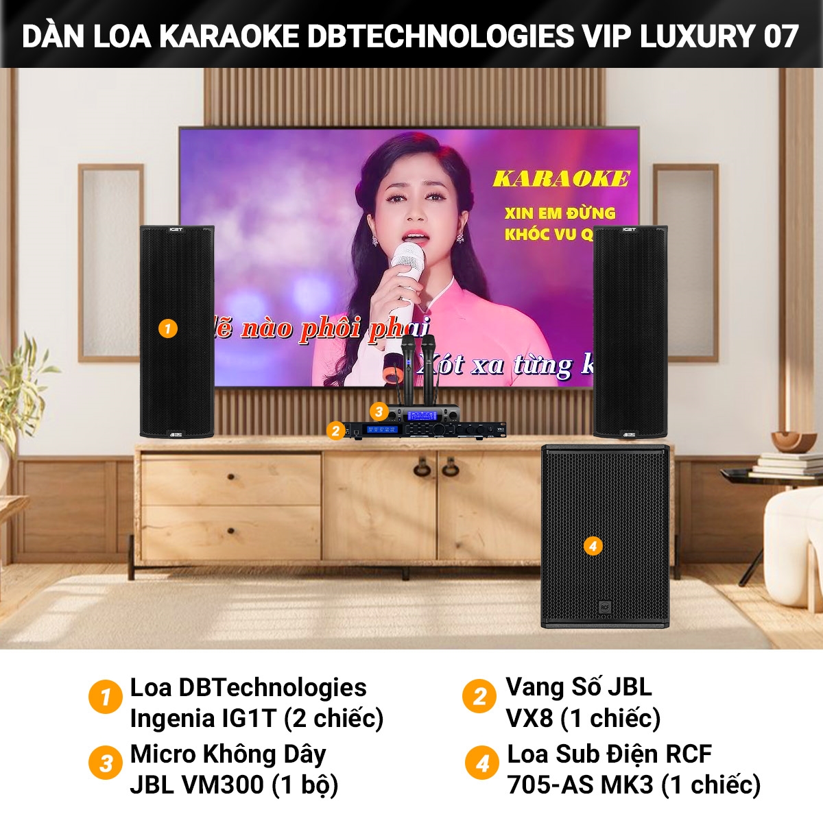 dan karaoke dBTechnologies vip luxury 07