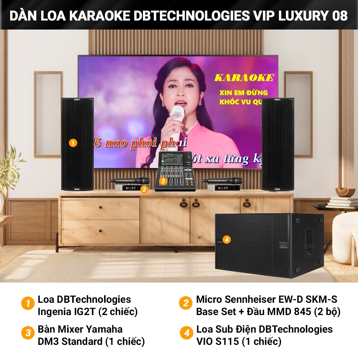 dan karaoke dBTechnologies vip luxury 08