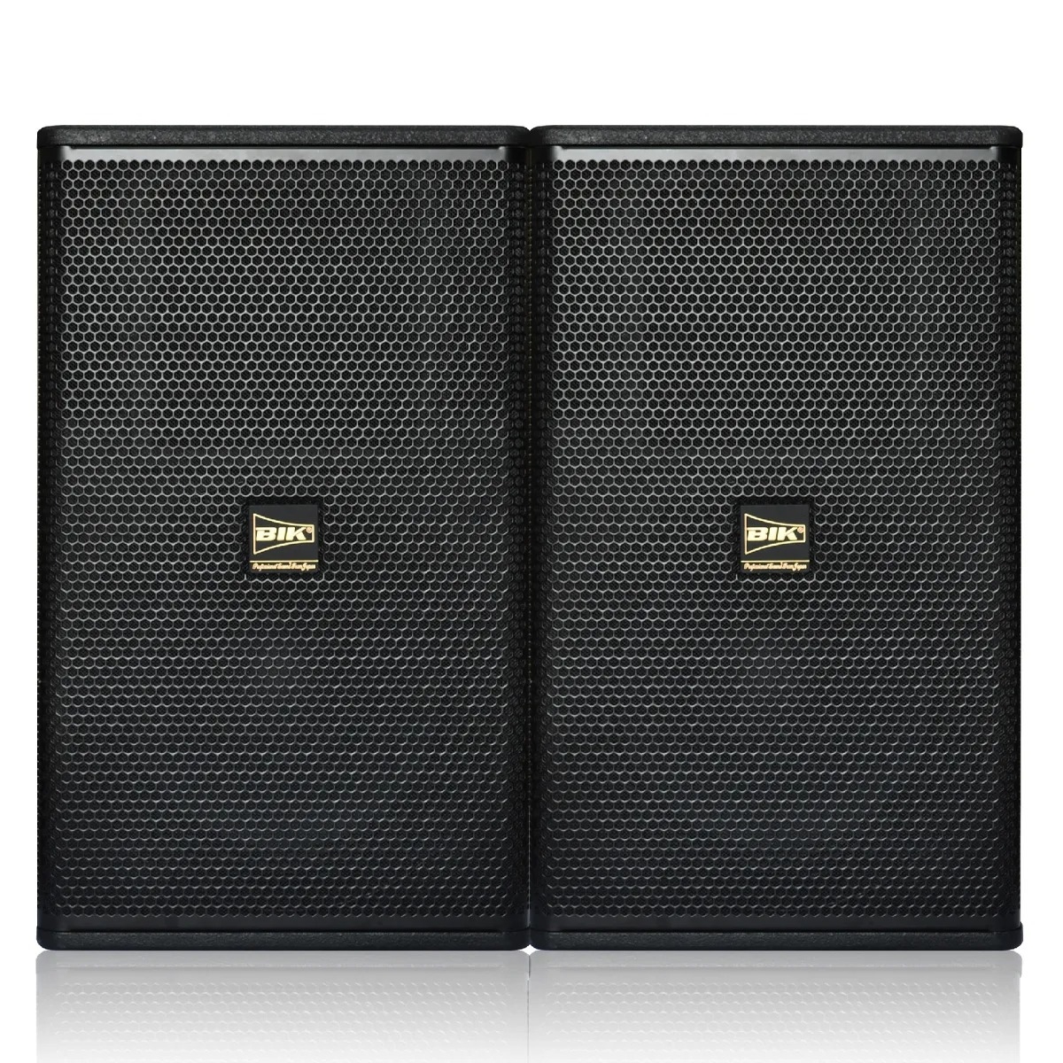 loa bik ksp df12 anh sp 1