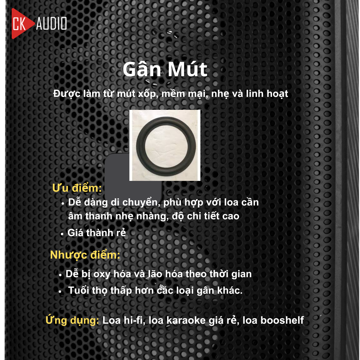 cac loai gan loa 2