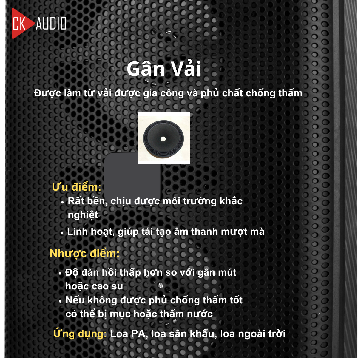 cac loai gan loa 3