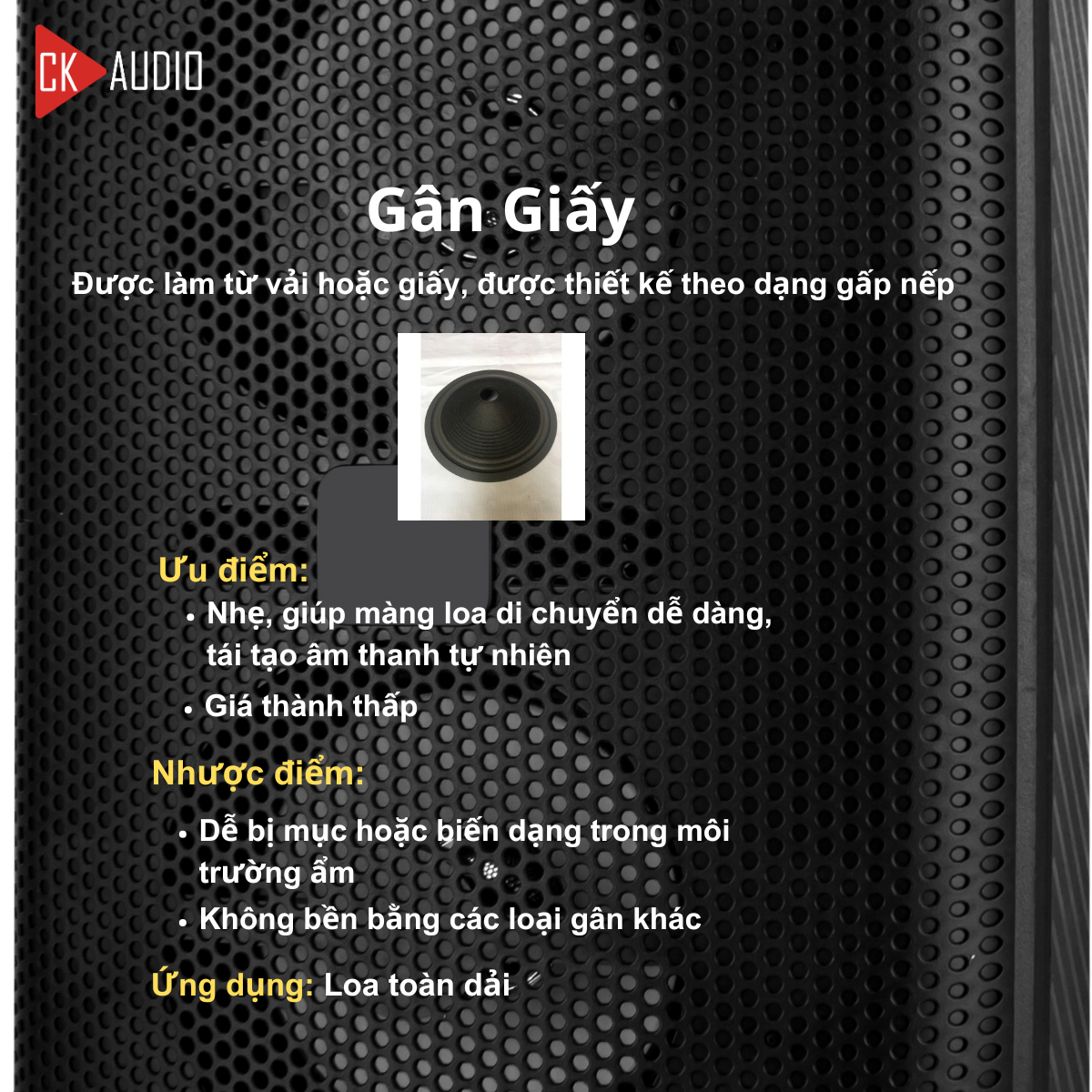 cac loai gan loa 5