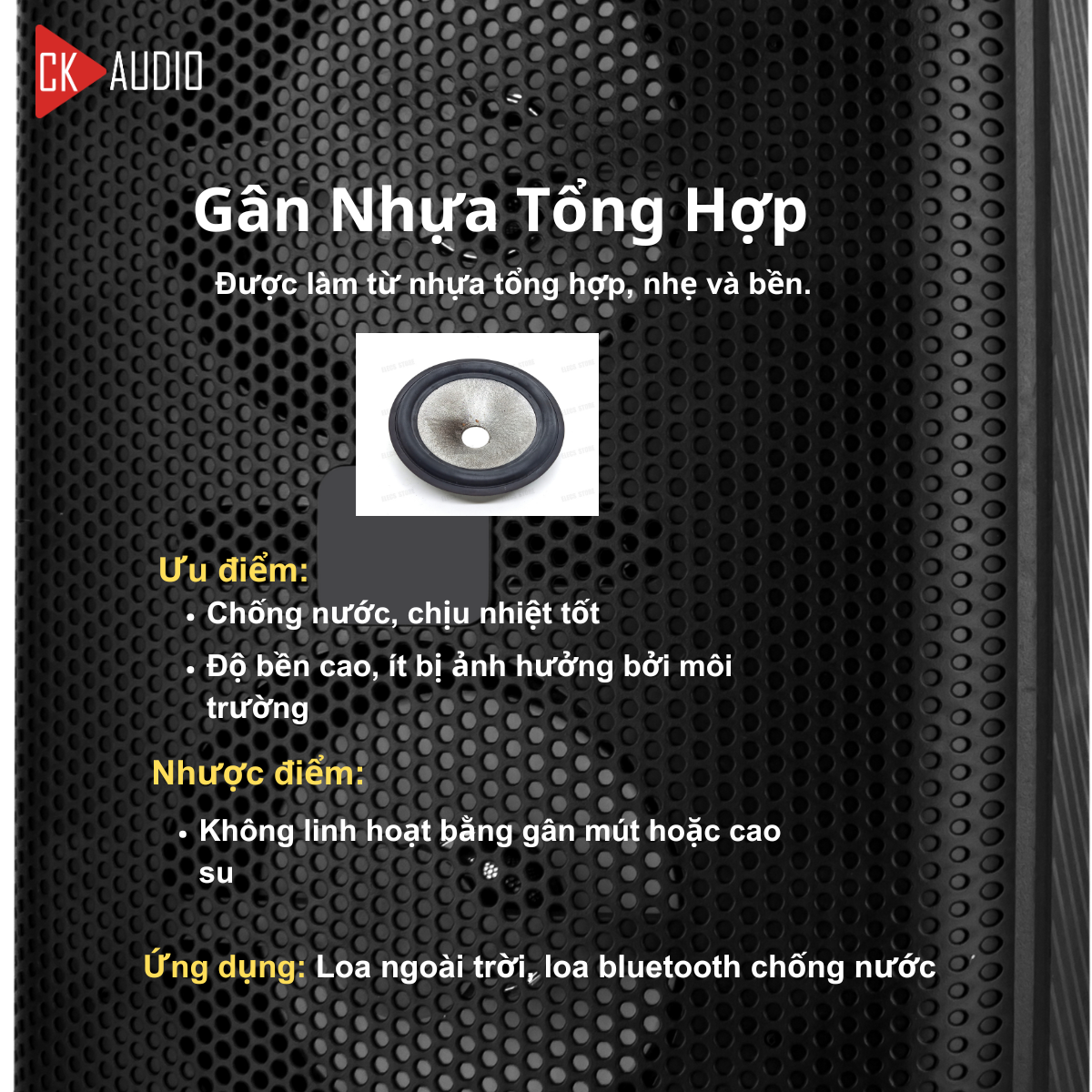 cac loai gan loa 6