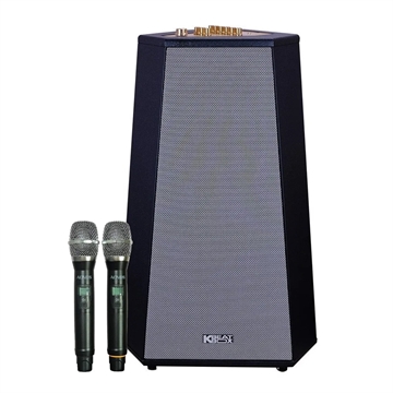 Loa Thap Karaoke Acnos CS500 1