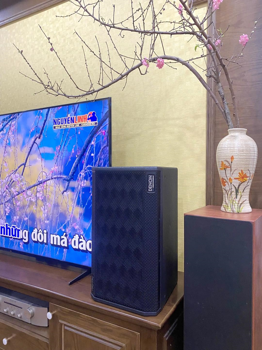 dan karaoke denon hn 4