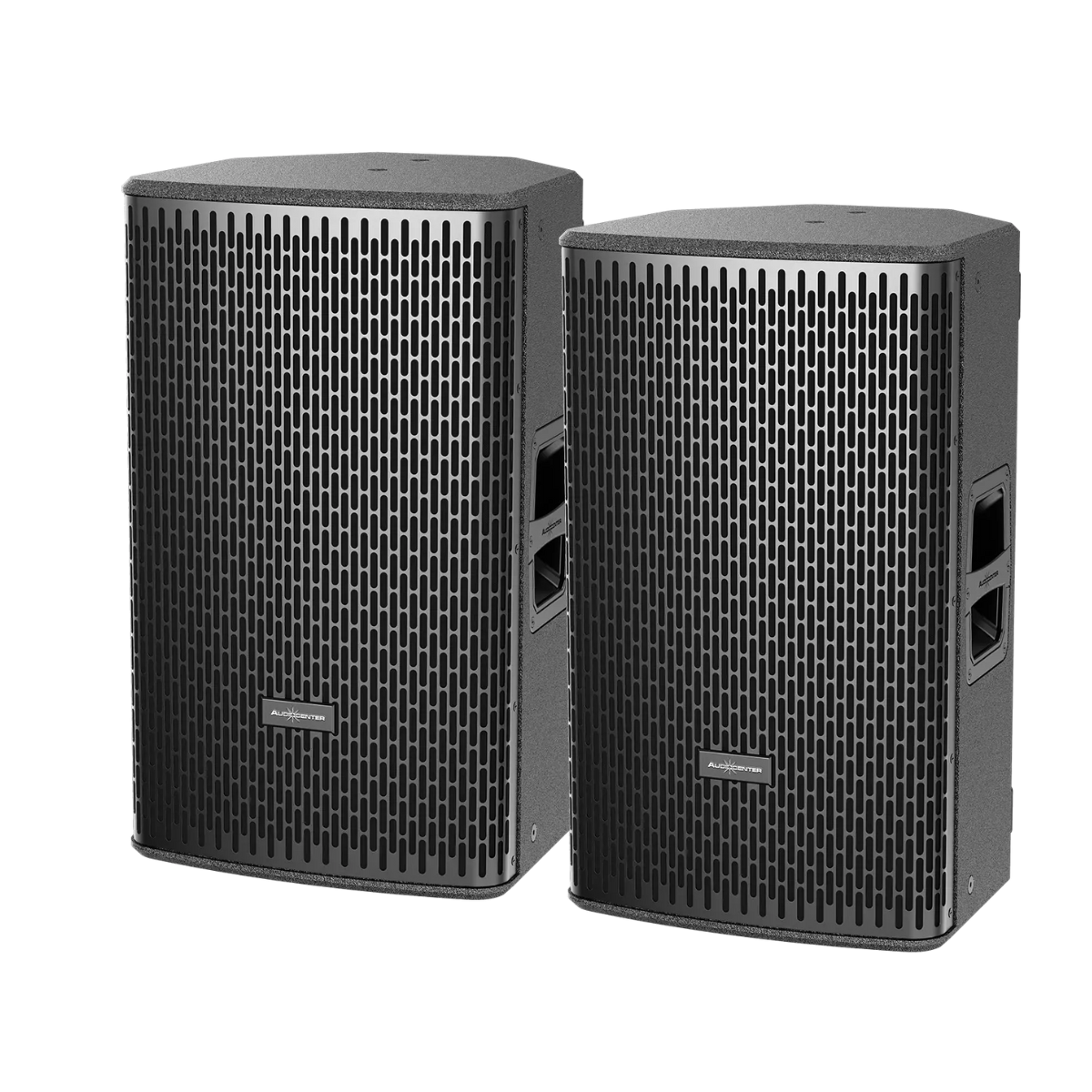 loa Audiocenter DS12 2