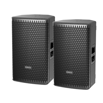 loa Audiocenter DS12 2