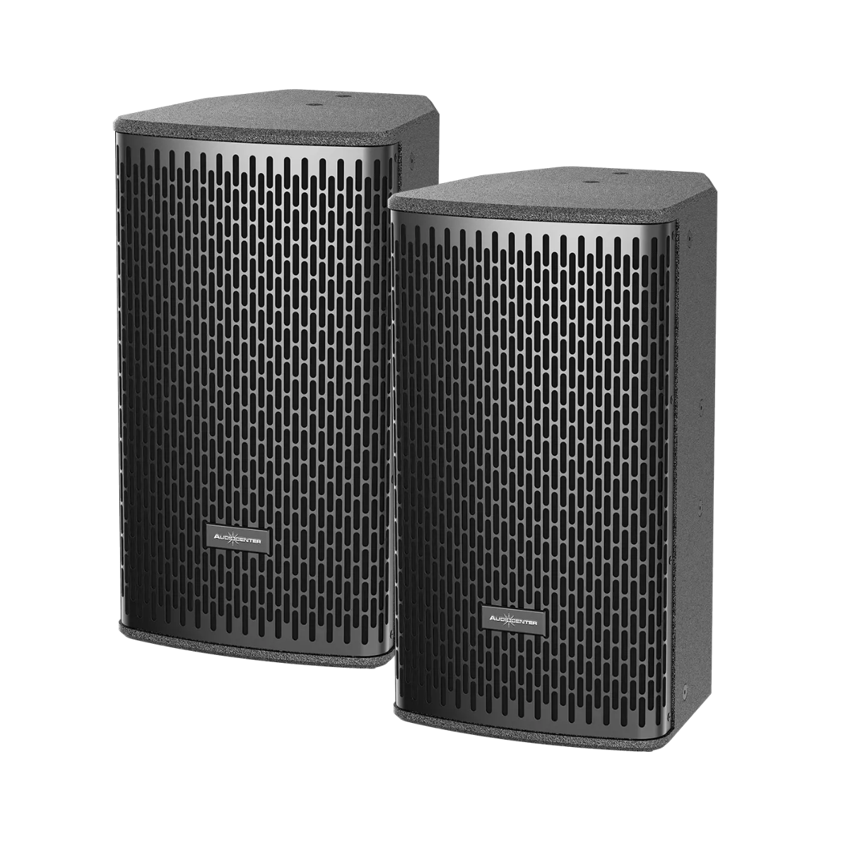 loa Audiocenter DS10 2