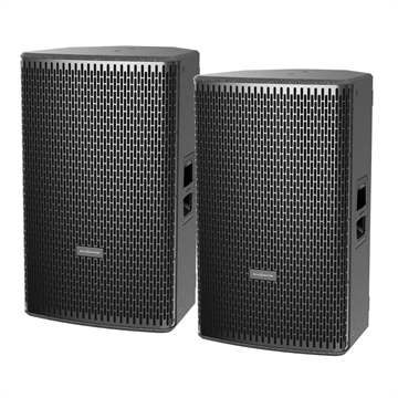 loa Audiocenter DS15 2