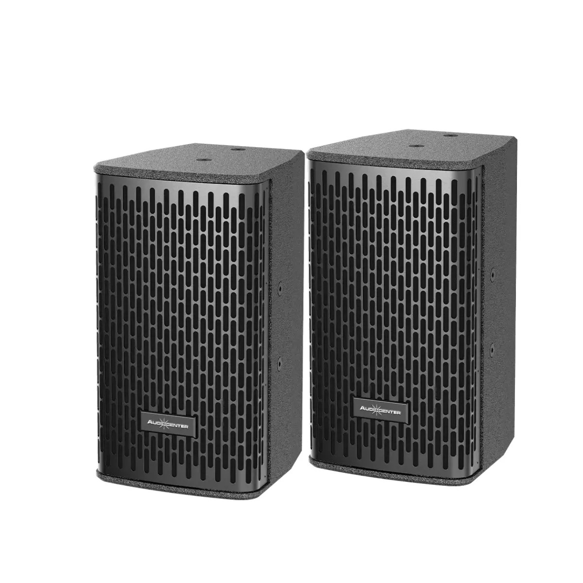 Loa Audiocenter DS06 2