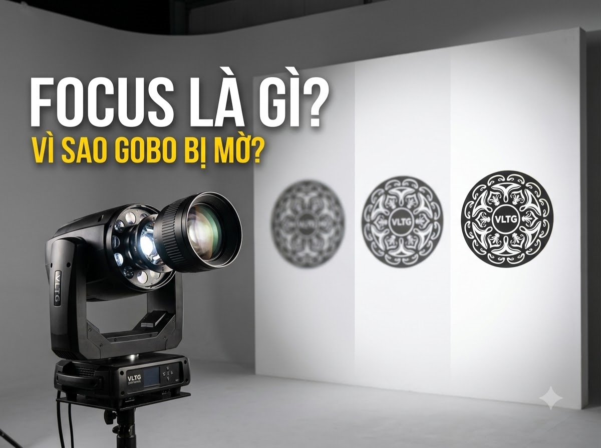 focus la gi